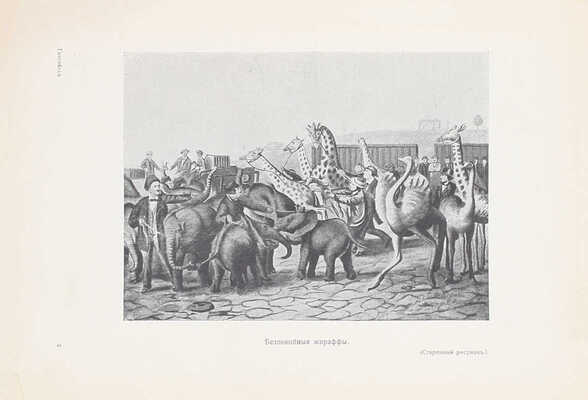 [Единственная книга автора]. Гагенбек К. О животных и людях / Пер. Л.С. Кустаревской. М.: Изд. В.М. Саблина, 1912.